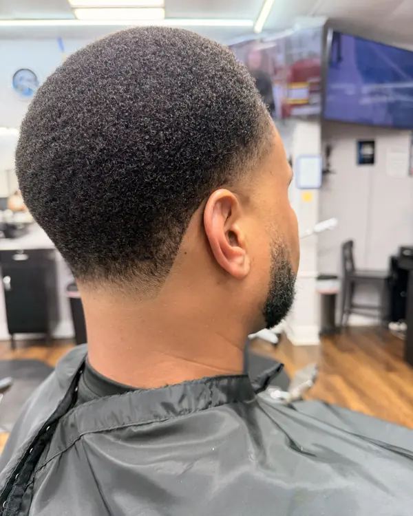 Clean taper on natural hair, back view